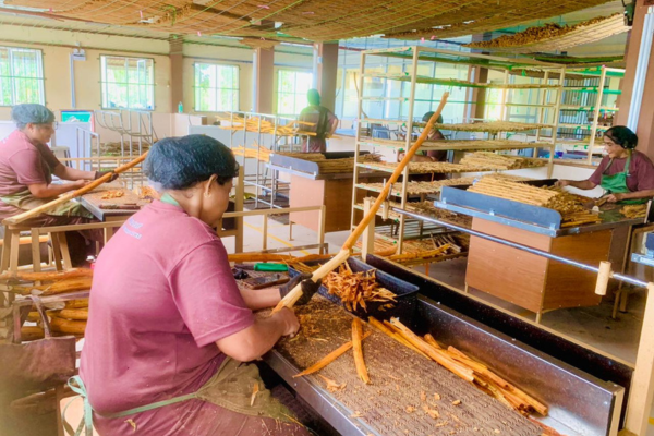 Peeling and Quill Making